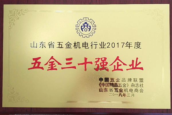 山东省五金机电行业2017年度五金三十强企业（五金市场）